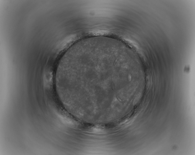 X0000091710308200709141126