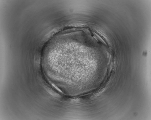 X0000091710309200709141126