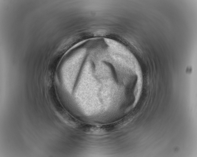 X0000091710311200709141126