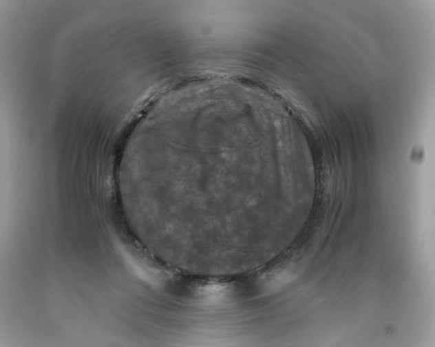 X0000091710312200709141126