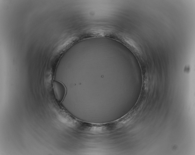 X0000091710314200709141126