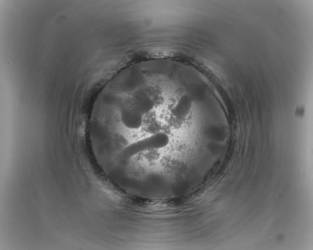 X0000091710315200709141126