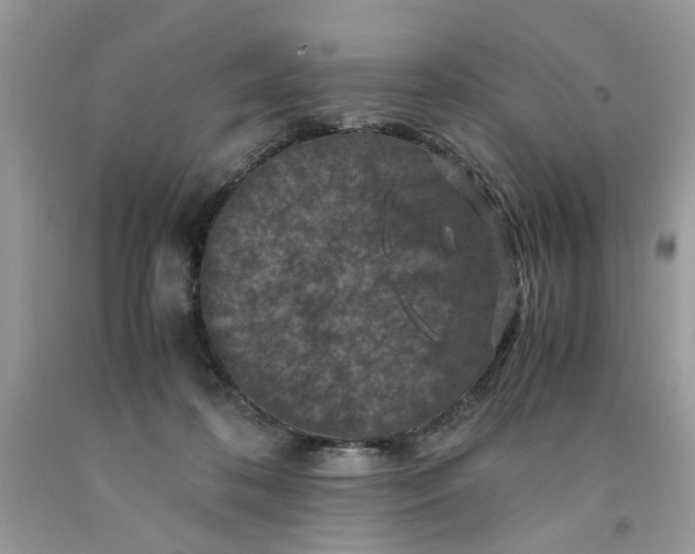 X0000091710316200709141125