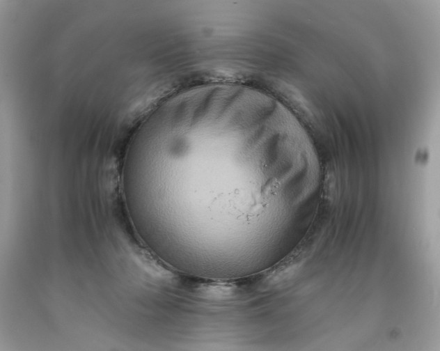 X0000091710318200709141125