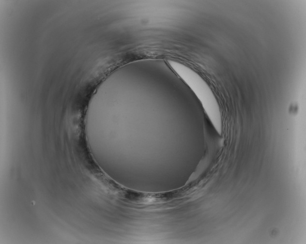 X0000091710319200709141125