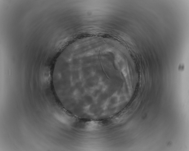 X0000091710320200709141125