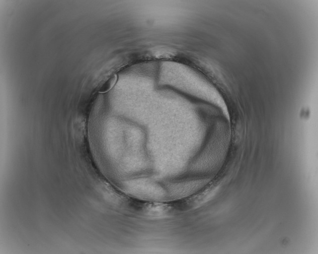 X0000091710321200709141125