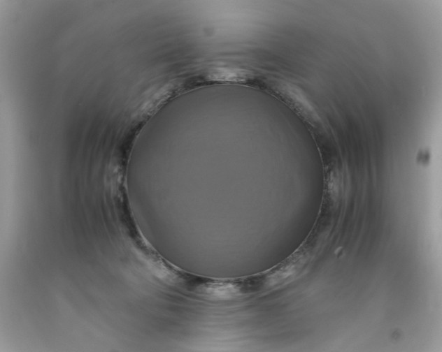 X0000091710322200709141125