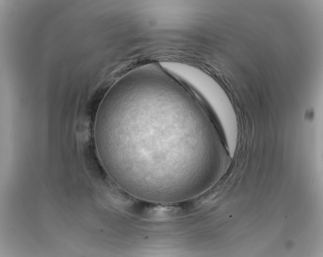 X0000091710323200709141125