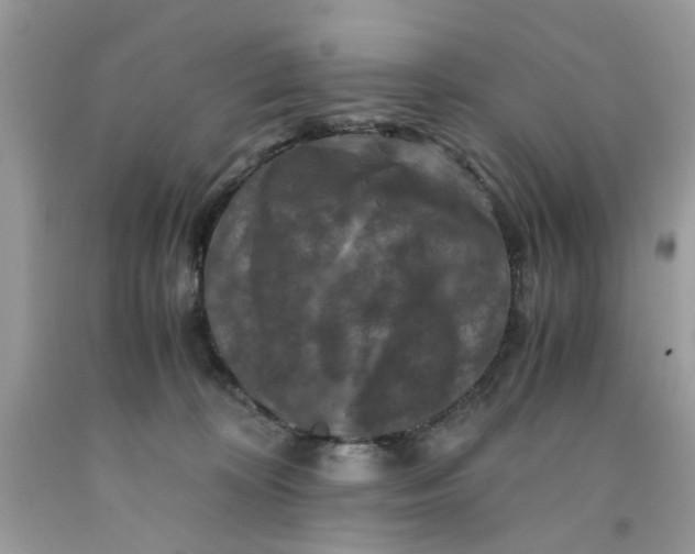 X0000091710324200709141125