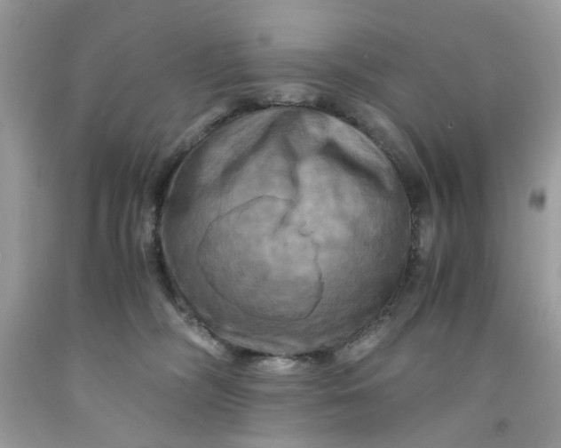 X0000091710326200709141125