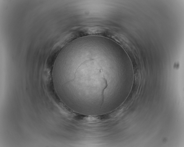 X0000091710327200709141125