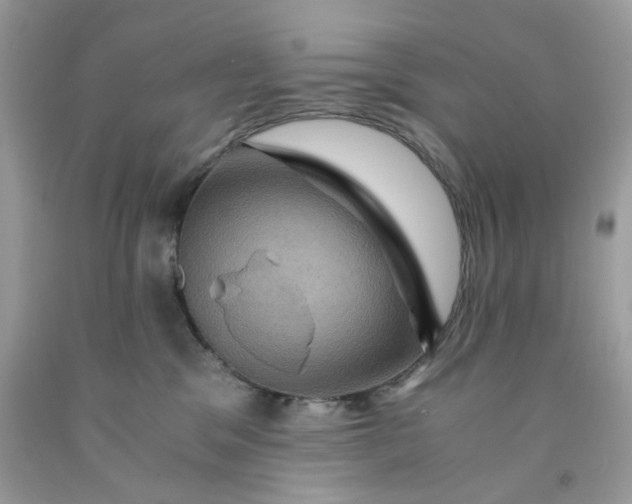 X0000091710329200709141125