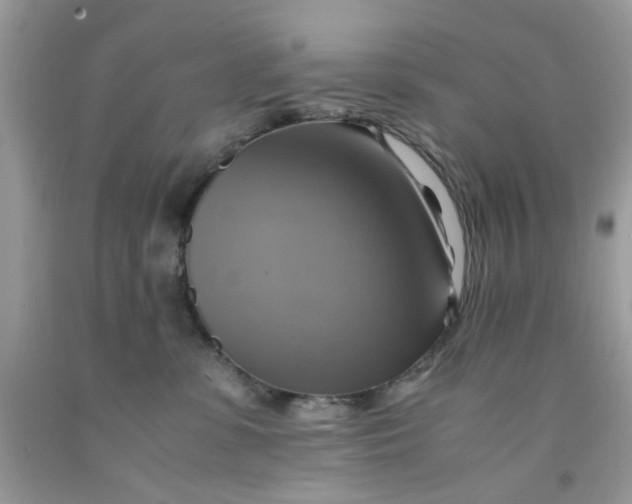 X0000091710331200709141125