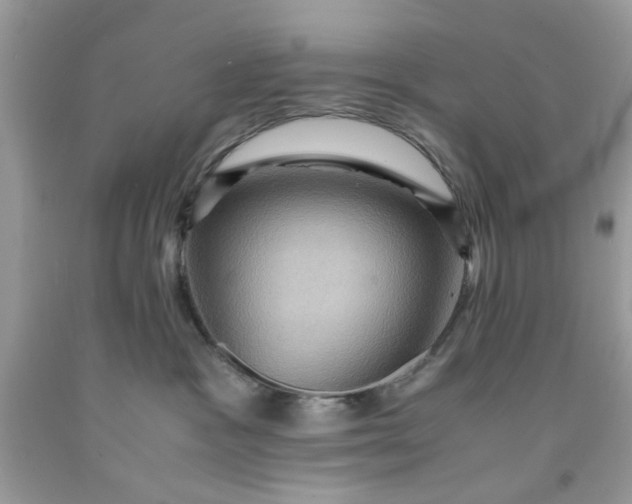 X0000091710333200709141125