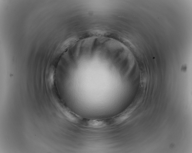 X0000091710334200709141125