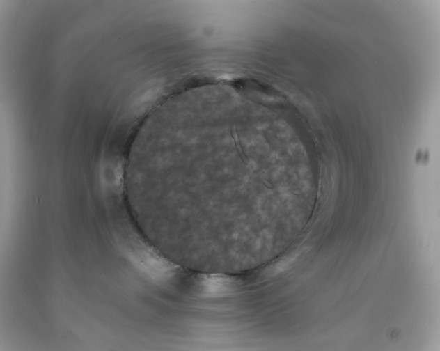 X0000091710336200709141125