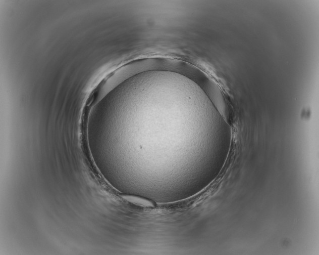 X0000091710340200709141125