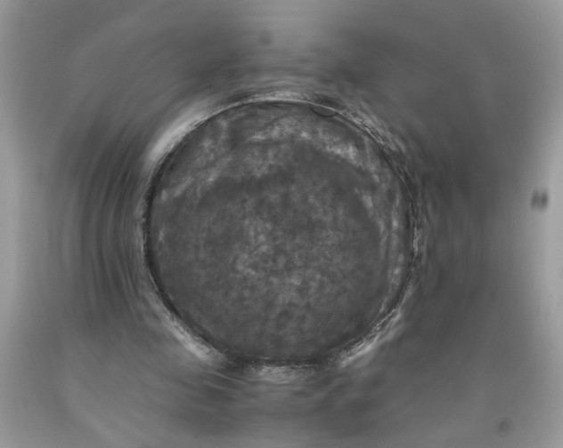 X0000091710341200709141125