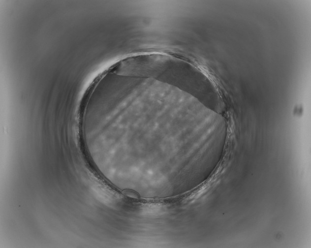 X0000091710342200709141125