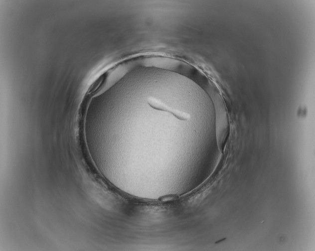 X0000091710344200709141125