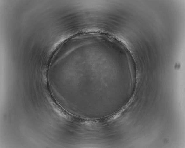 X0000091710345200709141125