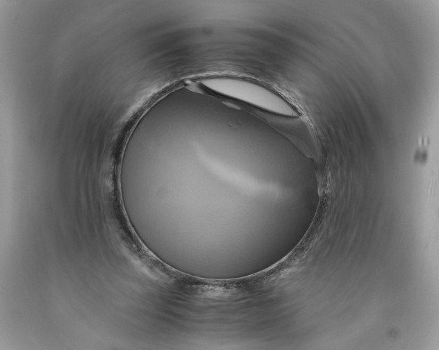 X0000091710347200709141125