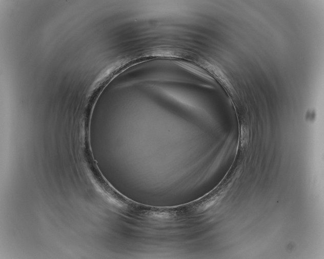 X0000091710349200709141125