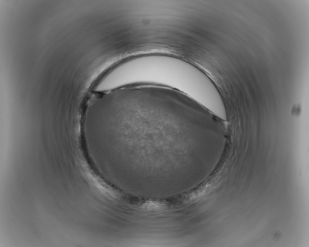 X0000091710350200709141125