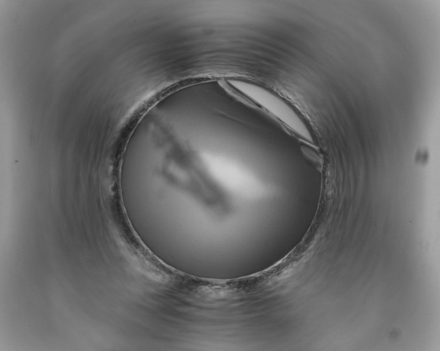 X0000091710351200709141125