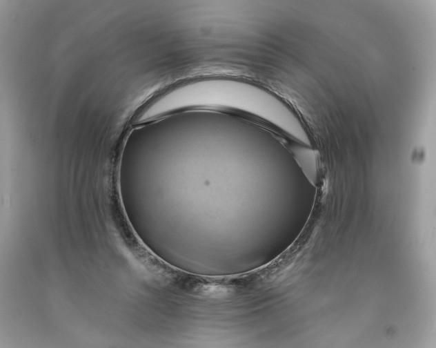 X0000091710352200709141125