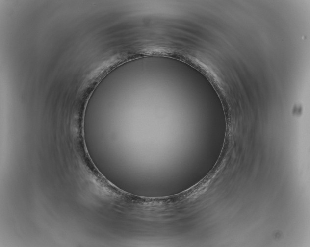 X0000091710353200709141125