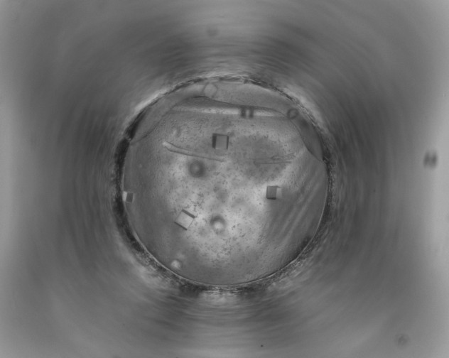 X0000091710354200709141125