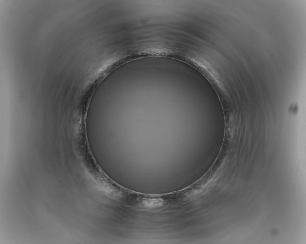 X0000091710355200709141125