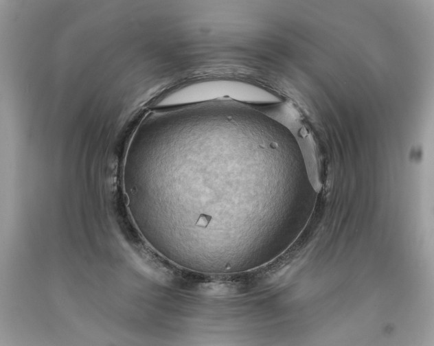 X0000091710356200709141125