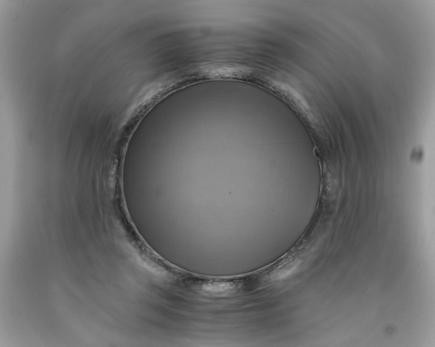 X0000091710357200709141125