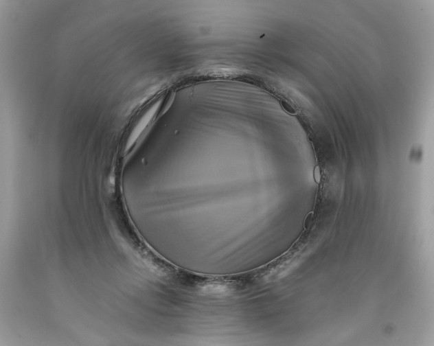 X0000091710358200709141125