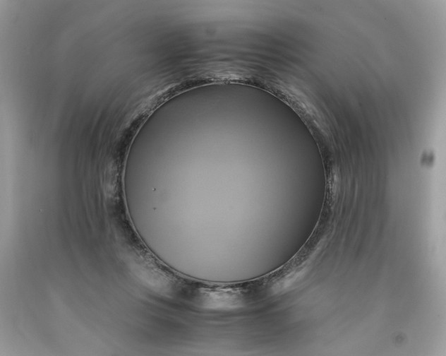 X0000091710359200709141125