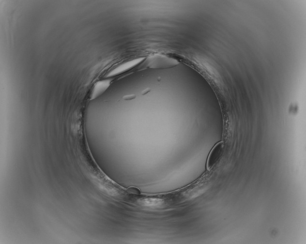 X0000091710361200709141125