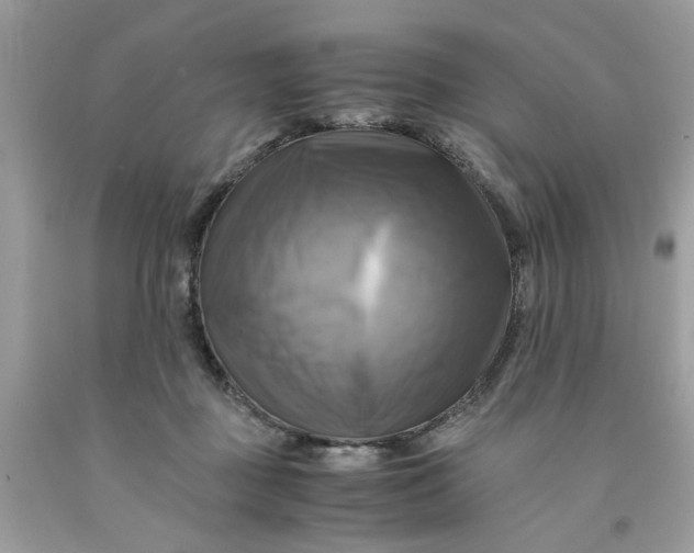 X0000091710363200709141125