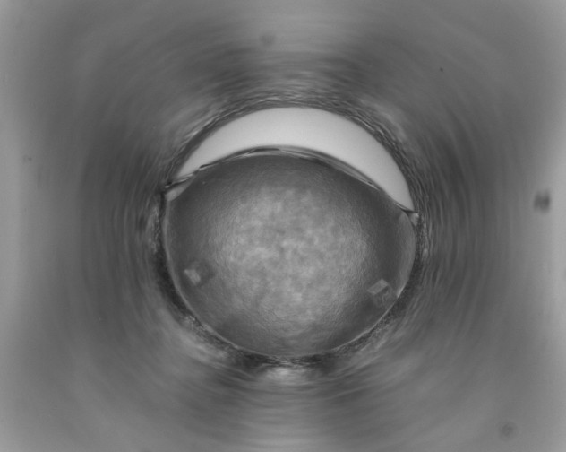 X0000091710364200709141125