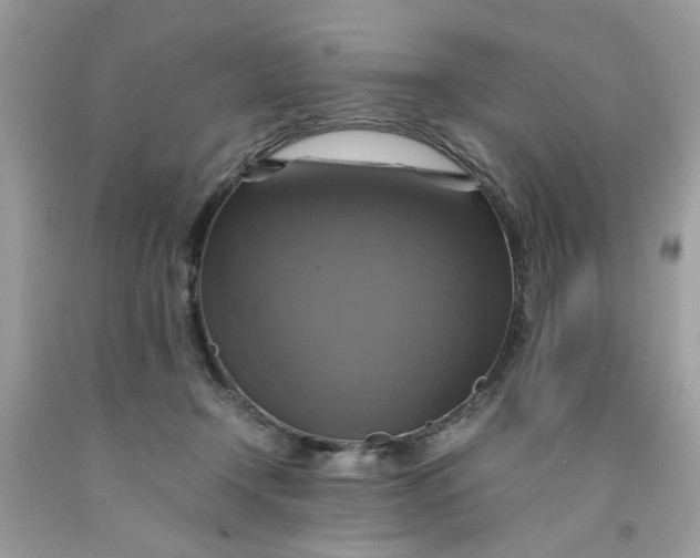 X0000091710366200709141125