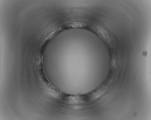 X0000091710367200709141125