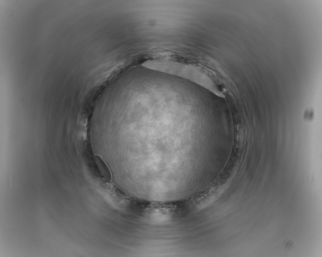 X0000091710368200709141125