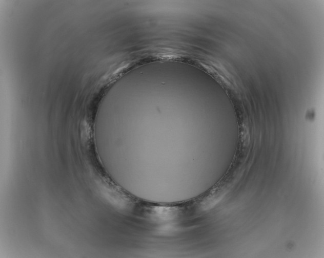 X0000091710371200709141125