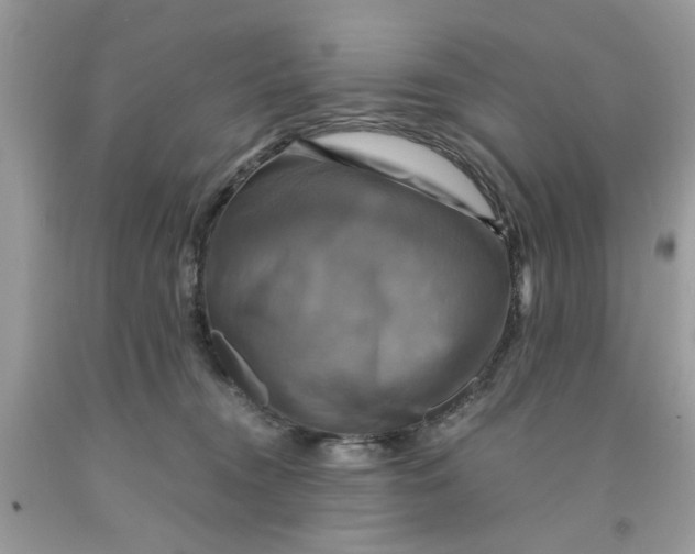 X0000091710372200709141125