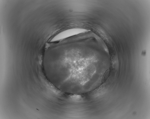 X0000091710374200709141125