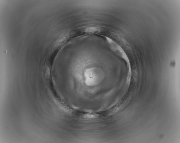 X0000091710375200709141125