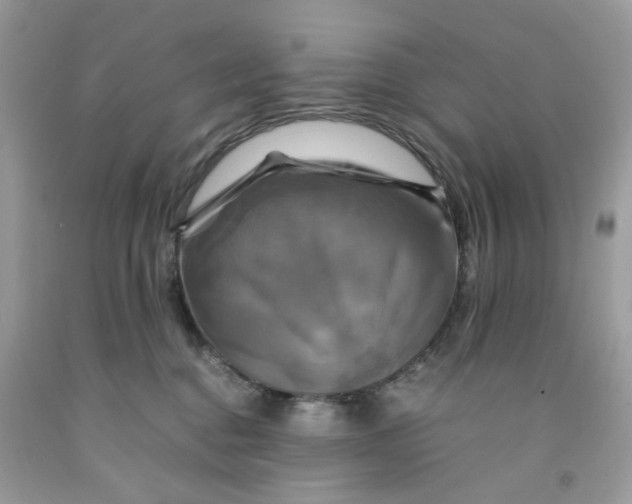 X0000091710376200709141125