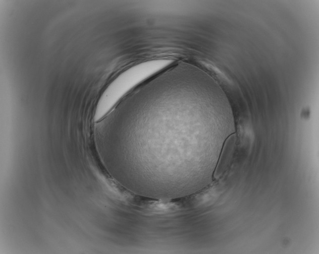 X0000091710379200709141125